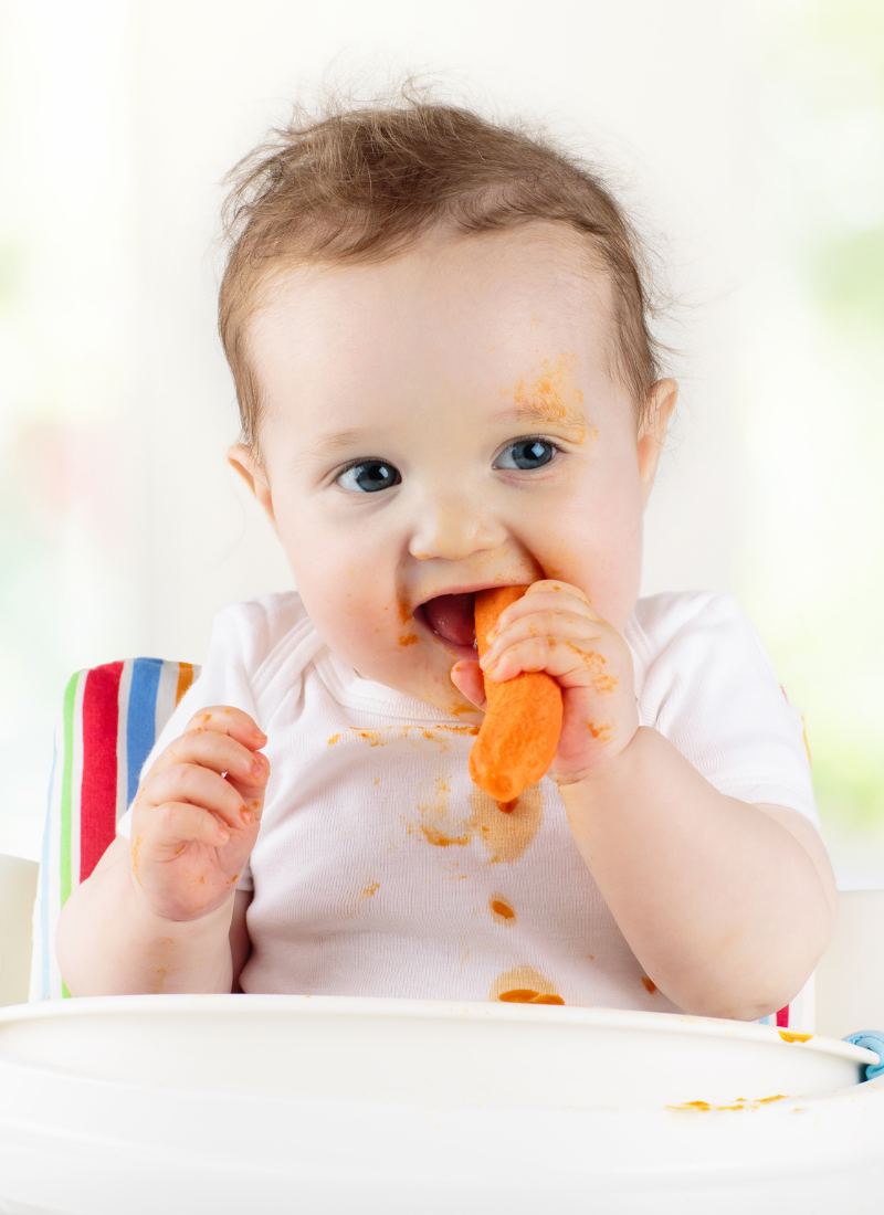 baby led weaning 6 months no teeth